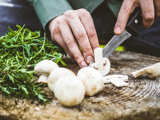 Monterey Mushrooms Harvests Savings While Doubling Network Capacity